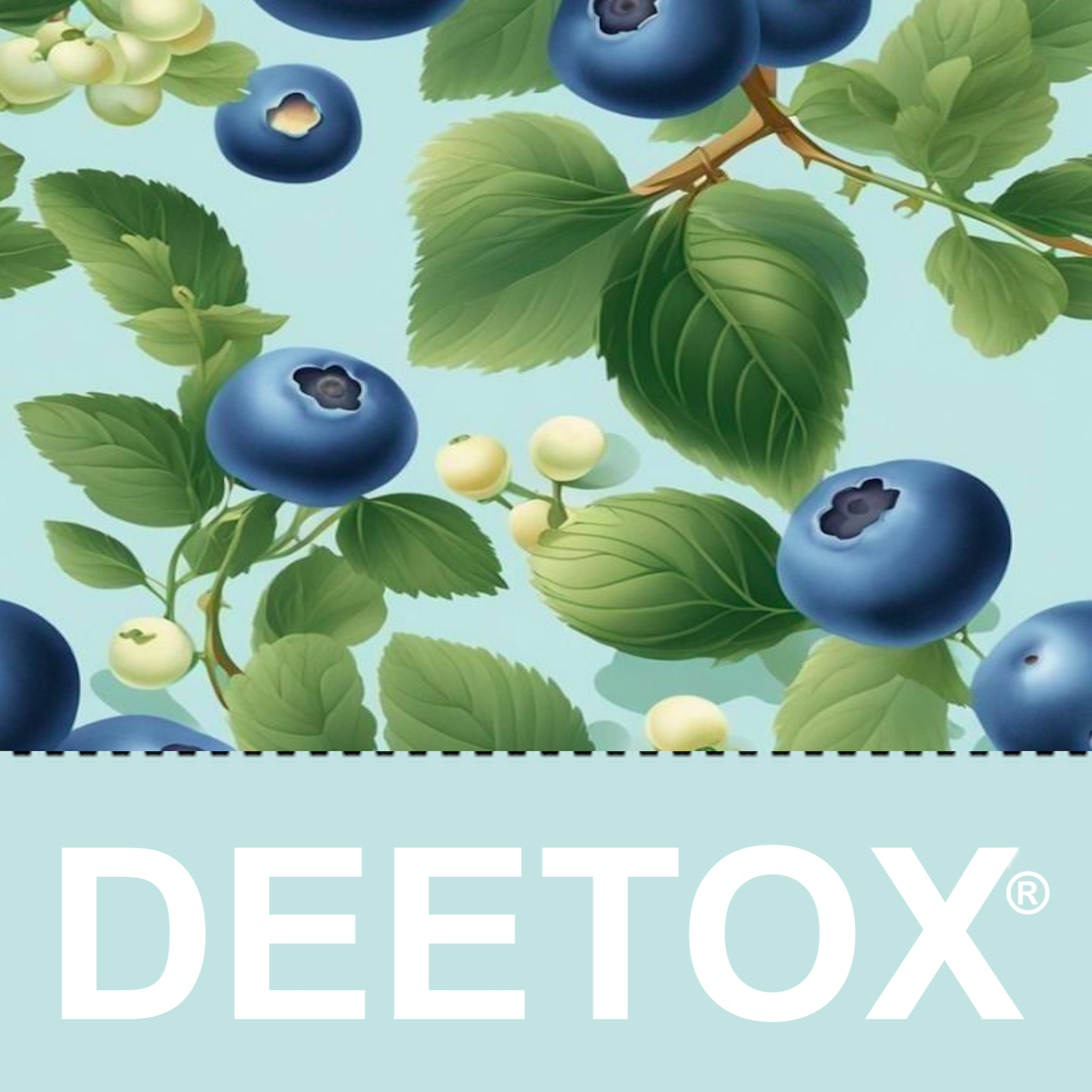 Tisana DEETOX® Cerebro