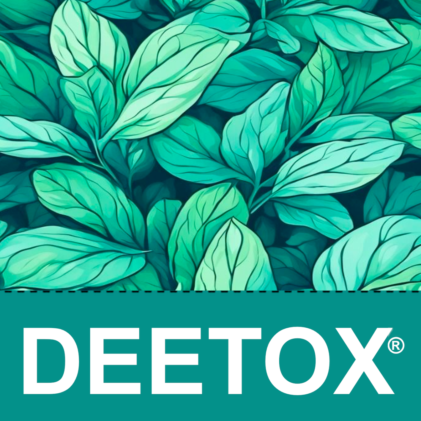 Tisana DEETOX® Energetizante