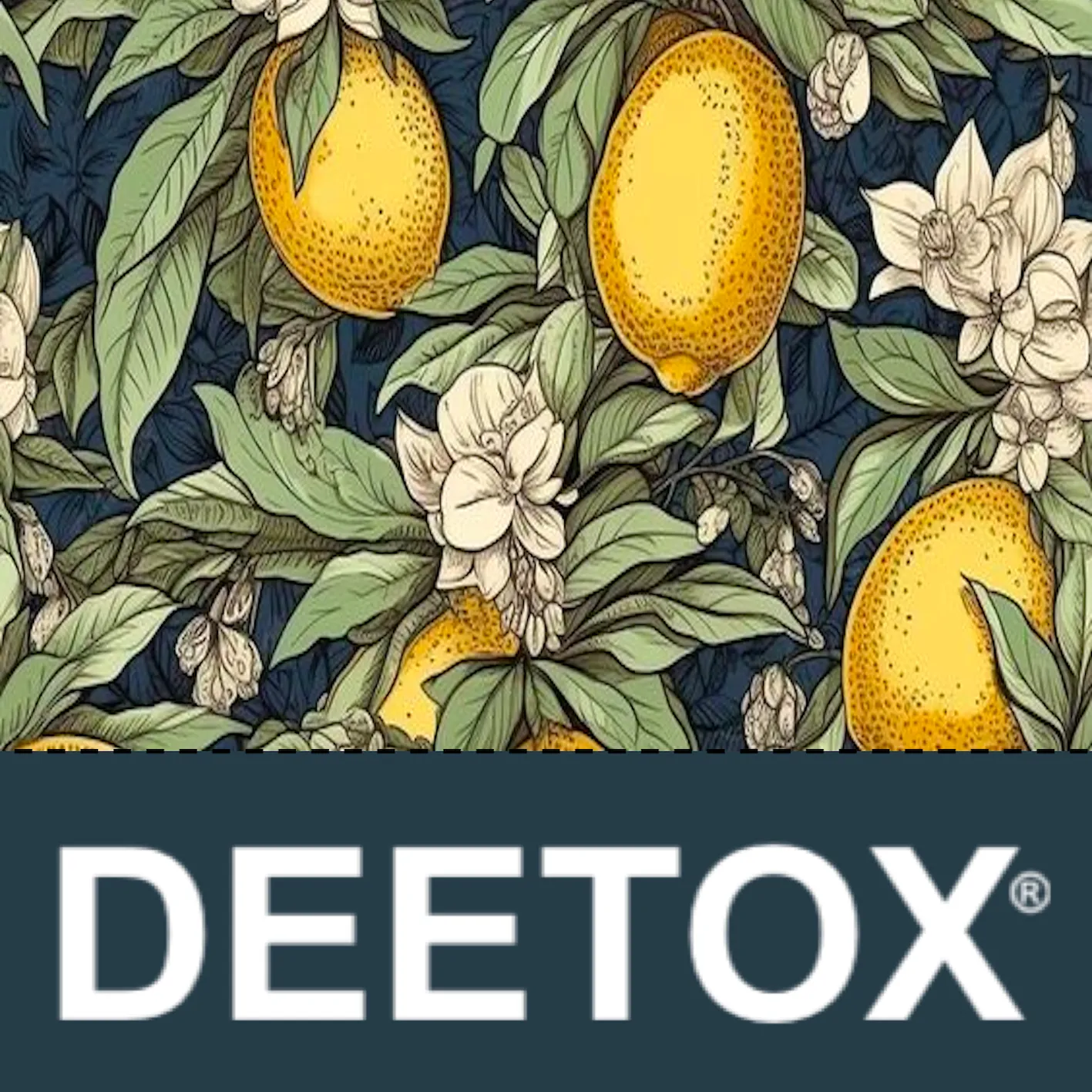 Tisana DEETOX® Reductiva