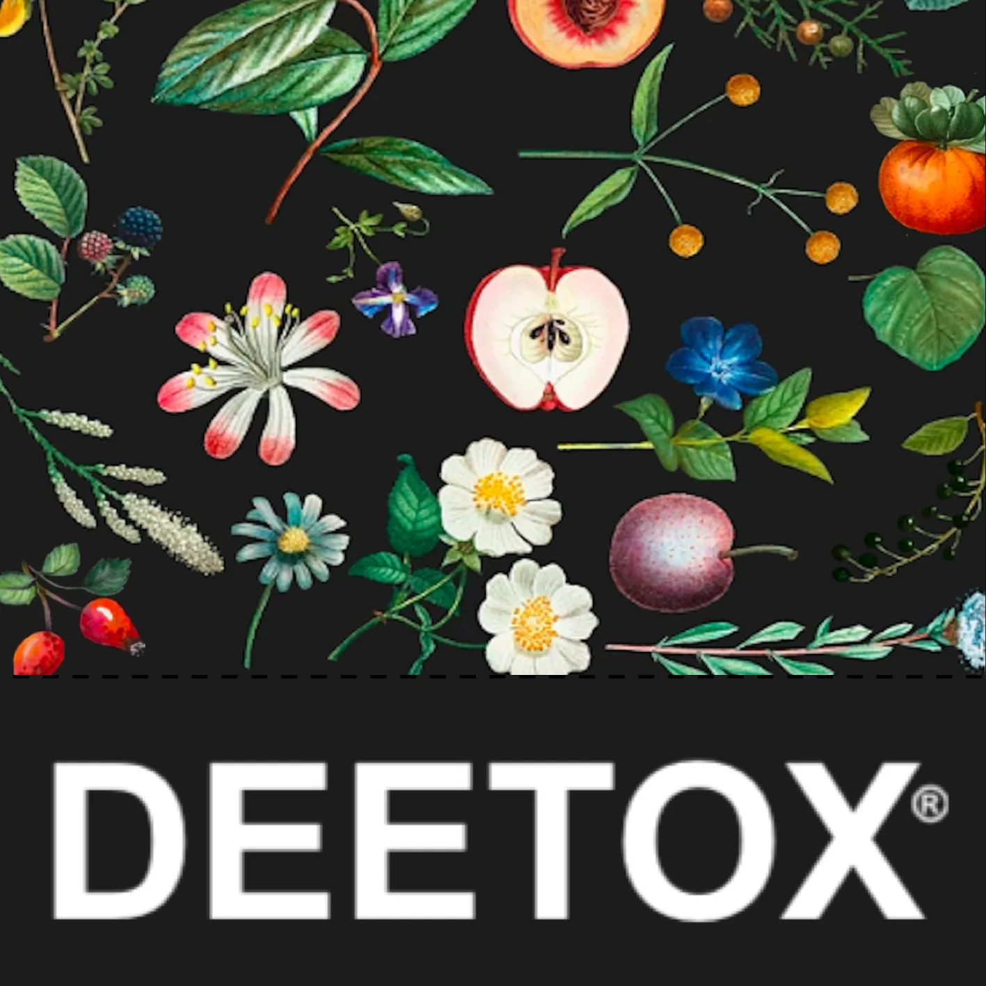 Tisana DEETOX® Rejuvenecimiento